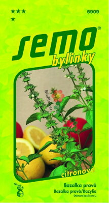 Bazalka LIME (citronová)