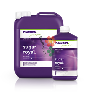 Plagron Sugar Royal 100 ml