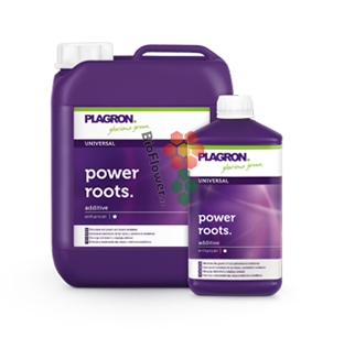 Plagron Power Roots 0,25 l