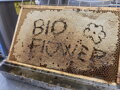 Bioflower Med lesní květový - smíšený