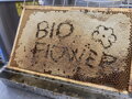 Bioflower Med pastovaný
