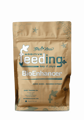 Green House Feeding Enhancer 500 g