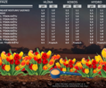Green House Feeding Hybrids 1 kg