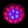 LED žárovka 45 W (podpora růstu pro rostliny)