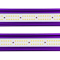 Lumatek Zeus 1000W XTREME PPFD CO2 LED systém 