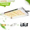 Mars Hydro TS600 Quantum Board - svítidlo pro pěstování rostlin