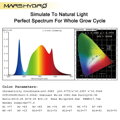 Mars Hydro TS600 Quantum Board - svítidlo pro pěstování rostlin