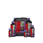 ATAMI B´cuzz Coco Bloom Stimulator 1 l