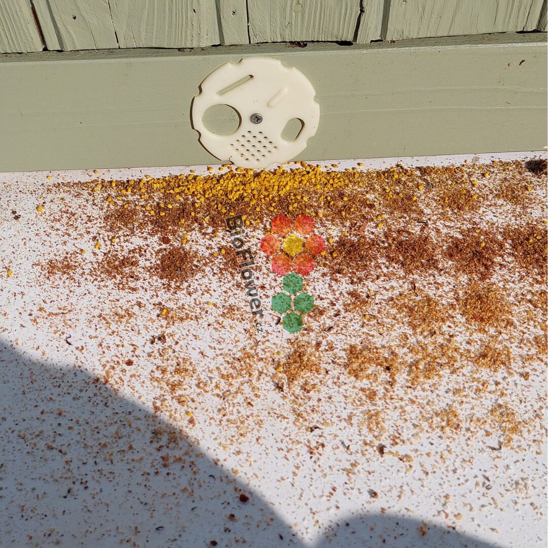 Včelí měl pod lupou: kdy kontrolovat a co z ní vyčíst