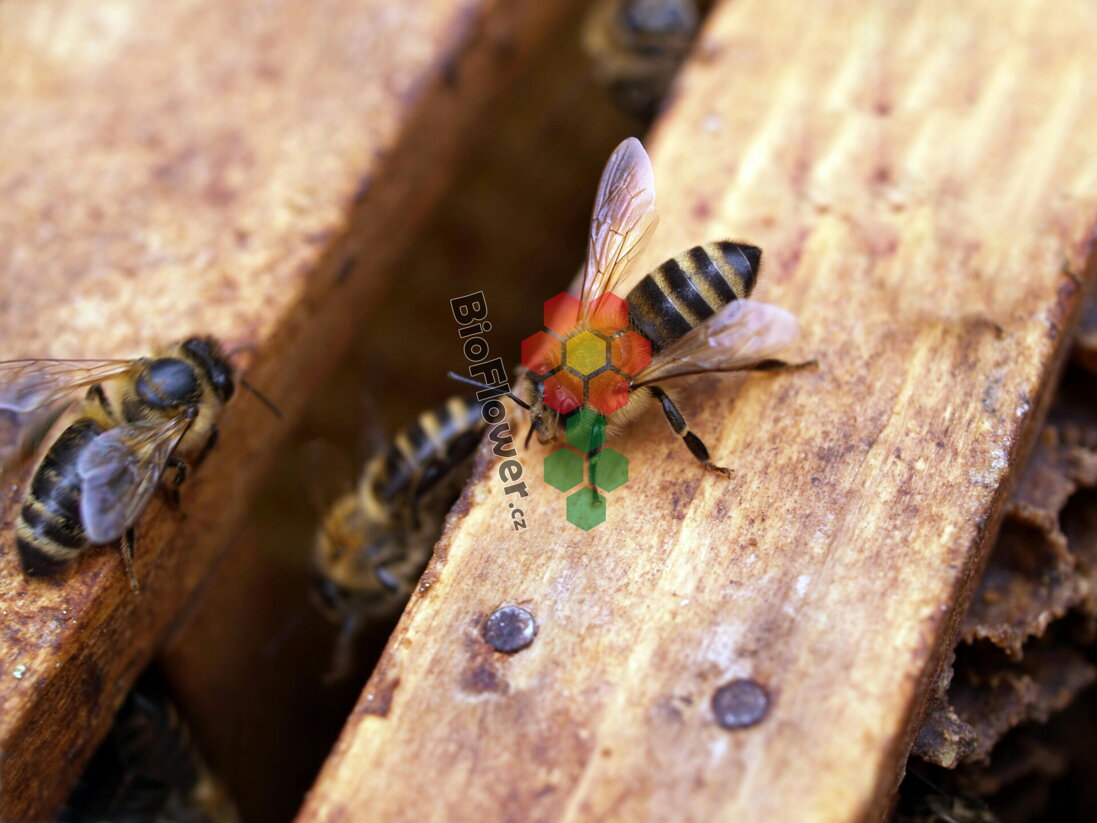 První jarní prohlídka: co (ne)podcenit