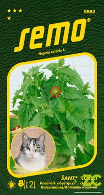 Šanta kočičí "kočičí kokain" Cat Grass 0,2g
