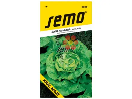 Semo Salát hlávkový KRÁL MÁJE 1