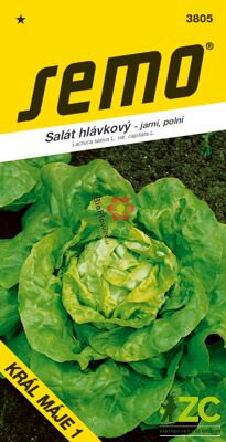 Semo Salát jarní - Král máje 1 