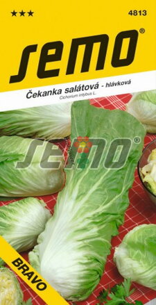 Semo Čekanka salátová Bravo