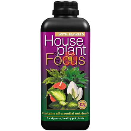 Growth Technology Houseplant Focus 1 l