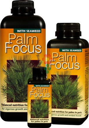 Growth Technology Palm Focus 0,1 l