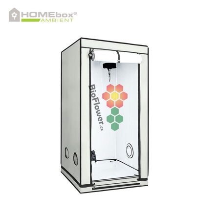 HOMEbox Ambient Q80 (80x80x160 cm)
