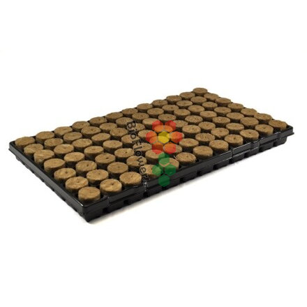 Agra-Wool Speedgrow Plug 38 x 35 mm 84 ks