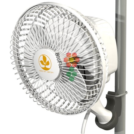 Secret Jardin MONKEY FAN 15 cm