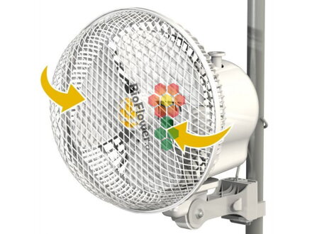 Secret Jardin MONKEY FAN 21cm