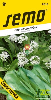 Česnek medvědí 1g Česnek medvědí 1g