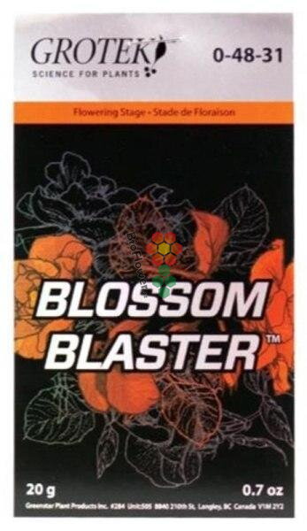 Grotek Blossom Blaster 20g