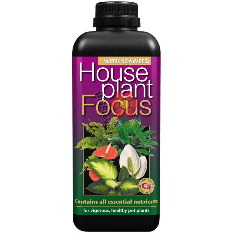 Growth Technology Houseplant Focus 1 l