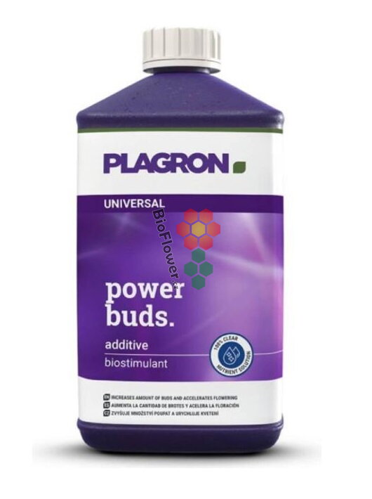 Plagron Power Buds 100ml