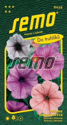 Semo Petunie mnohokvětá směs s orchid hvězdou