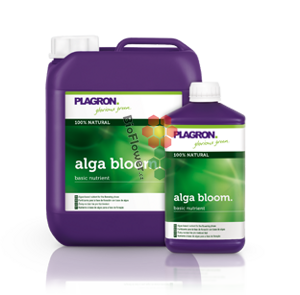 Plagron Alga Bloom 0,1 l