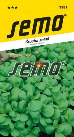 Semo Šrucha zelná Green Purslane