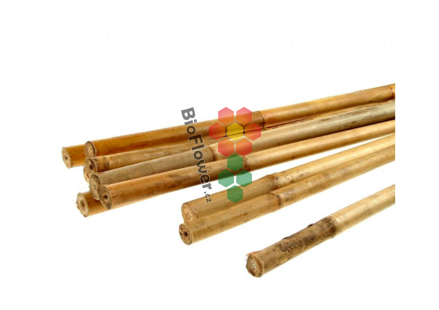 Bambusová tyčka 120 cm 