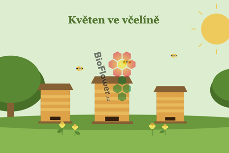 dotace EU pro včelaře